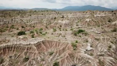 Güney Amerika, Kolombiya 'daki Tatacoa çölündeki gri çölün insansız hava aracı görüntüleri. Gri çöl. Arid gri ve yeşil kanyon. Çölün üzerinde uçmak. Yüksek kalite 4k görüntü.