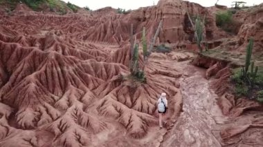 Güney Amerika, Kolombiya 'daki Tatacoa çölünün insansız hava aracı görüntüleri. Tatacoa çölünde yürüyen bir kadın. Kırmızı kil kanyonu. İnsansız hava aracı kayalara yakın uçuyor. Yüksek kalite 4k görüntü.