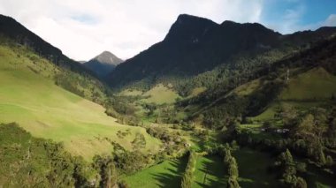 Kolombiya, Cocora Vadisi 'ndeki balmumu palmiye ağaçlarının insansız hava aracı görüntüleri. Valle de Cocora, Quindio 'daki Wax Palm Trees' in insansız hava aracı çekimi. Salento yakınlarındaki Los Nevados Ulusal Doğal Parkı. Latin Amerika 4k görüntüleri