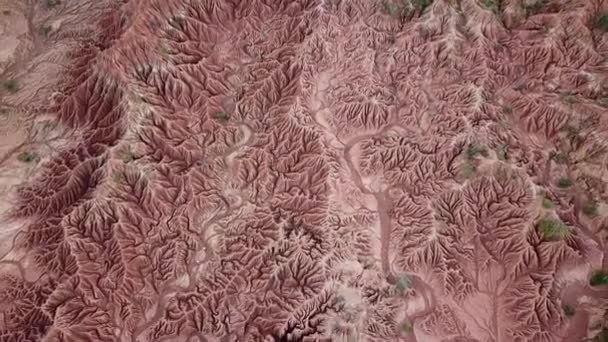 Flygbilder Tatacoaöknen Colombia Sydamerika Arid Röd Lera Kanjon Drönaren Flyger — Stockvideo