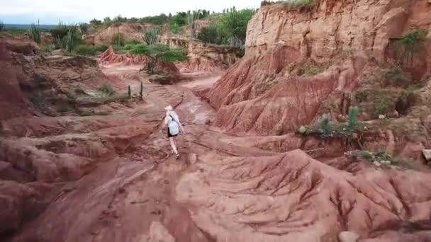 在哥伦比亚和南美洲的塔卡科亚沙漠上空拍摄的无人驾驶飞机镜头 在塔卡科亚沙漠中行走的女人干燥的红土峡谷 无人机靠近岩石飞行 高质量的4K镜头 — 图库视频影像