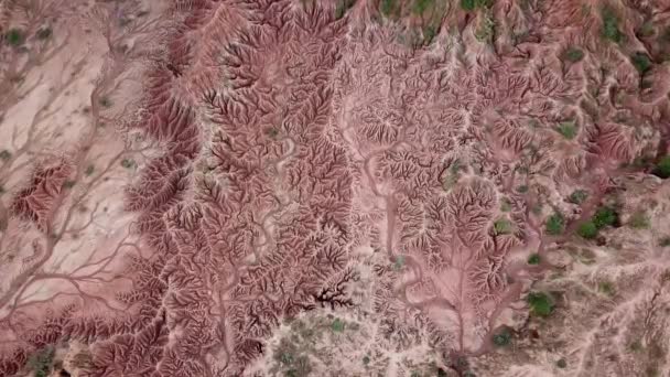 南アメリカのコロンビアのタタカオ砂漠の航空無人機の映像 赤い粘土キャニオンができました ドローンが岩の近くを飛んでいる 砂漠の上を飛んでいる 高品質の4K映像 — ストック動画