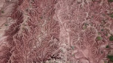 Güney Amerika, Kolombiya 'daki Tatacoa çölünün insansız hava aracı görüntüleri. Kırmızı kil kanyonu. İnsansız hava aracı kayalara yakın uçuyor. Çölün üzerinde uçmak. Yüksek kalite 4k görüntü.