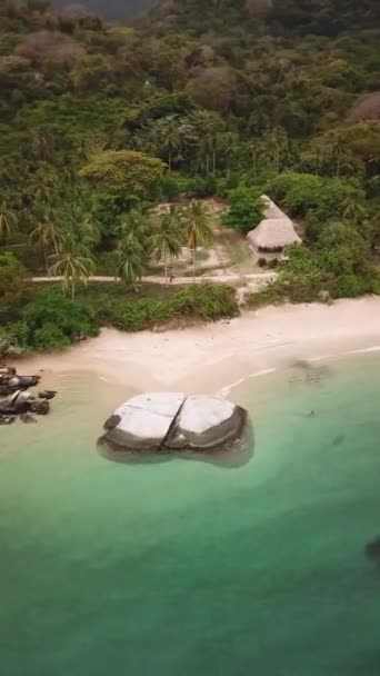 Drohnenaufnahmen Der Paradiesischen Natur Tayrona Nationalpark Kolumbien Lateinamerika Türkisfarbener Sandstrand — Stockvideo