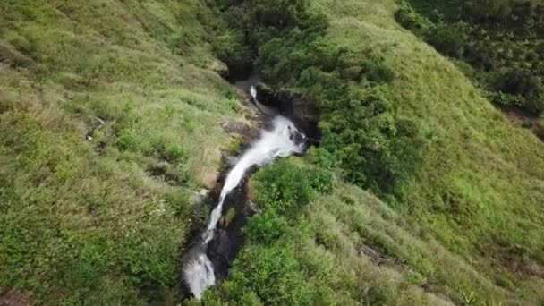 Imágenes Aéreas Drones Una Cascada Aleatoria Cerca Del Parque Nacional — Vídeo de stock