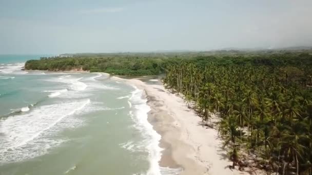 Légi Felvételek Tengerpartjáról Pálmafákkal Palominóban Guajirában Kolumbiában Latin Amerikában Desembocadura — Stock videók