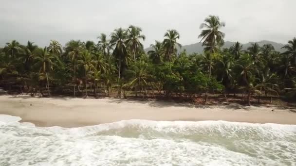 Imágenes Aéreas Drones Playa Con Palmeras Palomino Guajira Colombia América — Vídeo de stock
