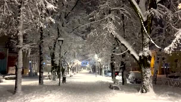 Promenade Dans Ville Bojnice Hiver Pendant Les Chutes Neige Noël — Video