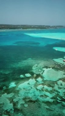 San Andres, Kolombiya, Latin Amerika 'daki tropik bir adanın insansız hava aracı görüntüleri. Egzotik Kolombiya adası. Yedi renk denizi. Turkuaz renkli kumsalı ve palmiye ağaçları olan beyaz kum. 4K.