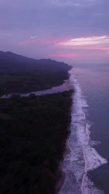 Palomino sahilinin hava aracı görüntüleri, mor günbatımında palmiye ağaçları, La Guajira, Kolombiya, Latin Amerika. Desembocadura Rio San Salvador.