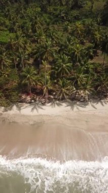 Palomino, La Guajira, Kolombiya, Latin Amerika 'daki palmiye ağaçlı plajların insansız hava aracı görüntüleri. Desembocadura Rio San Salvador.