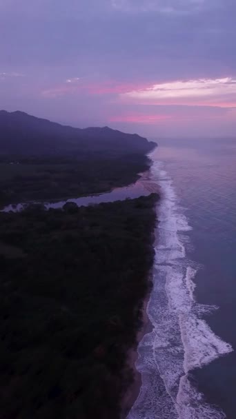 Imágenes Aéreas Playa Palomino Con Palmeras Atardecer Púrpura Guajira Colombia — Vídeo de stock