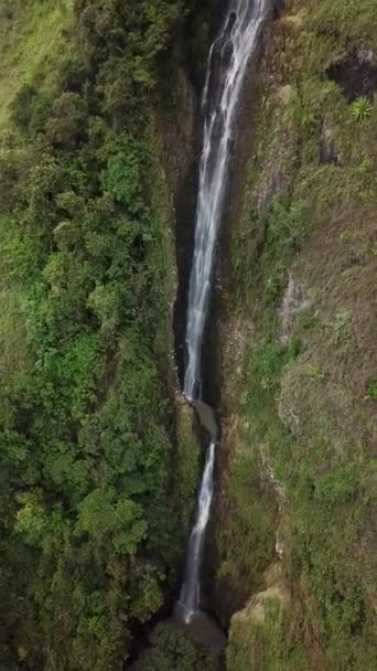 Imagens Aéreas Drones Uma Cachoeira Aleatória Perto Parque Natural Nacional — Vídeo de Stock