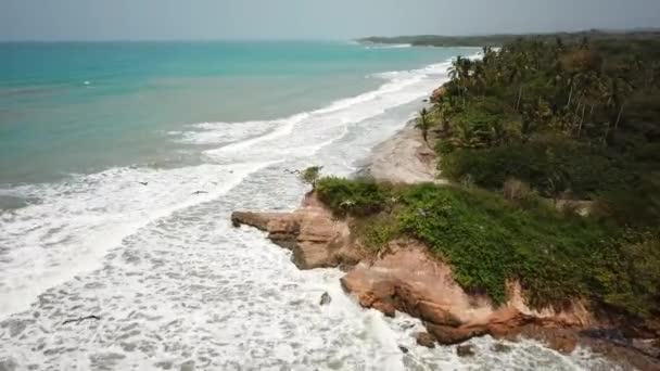 Aerial Drone Footage Beach Palm Trees Palomino Guajira Colombia Latin — Stock Video