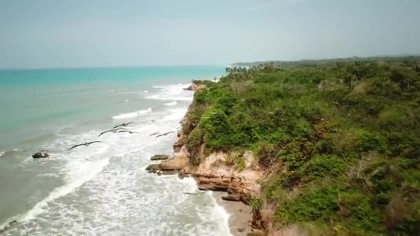 Drohnenaufnahmen Vom Strand Mit Palmen Palomino Guajira Kolumbien Lateinamerika Jagd — Stockvideo