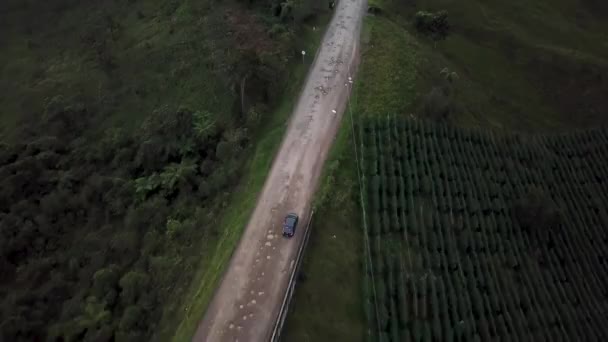 Flygdrönare Bilder Bil Grusvägen Till Palace National Natural Park Colombia — Stockvideo