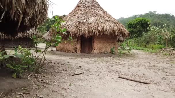 Відеозапис Повітряного Безпілотника Місцевих Будинків Корінного Племені Когі Поблизу Паломіно — стокове відео