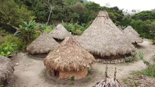 Imágenes Aéreas Drones Casas Locales Tribu Indígena Kogi Cerca Palomino — Vídeo de stock