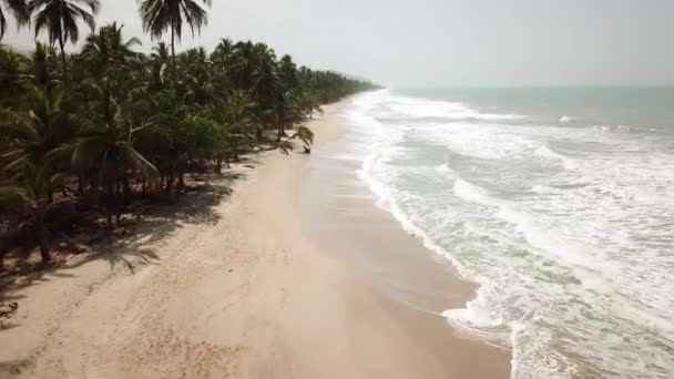 Drohnenaufnahmen Vom Strand Mit Palmen Palomino Guajira Kolumbien Lateinamerika Desembocadura — Stockvideo