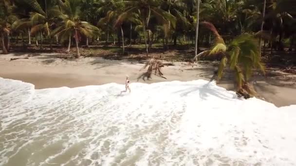 Imágenes Aéreas Drones Una Niña Caminando Corriendo Por Playa Con — Vídeo de stock