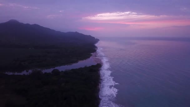Drohnenaufnahmen Vom Strand Von Palomino Mit Palmen Bei Violettem Sonnenuntergang — Stockvideo