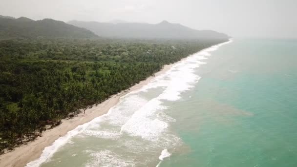 Drohnenaufnahmen Vom Strand Mit Palmen Palomino Guajira Kolumbien Lateinamerika Desembocadura — Stockvideo