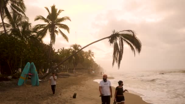 哥伦比亚帕洛米诺 1月14日 当地居民在美丽的落日下漫步在帕洛米诺海滩上 海滩上的棕榈树弯了哥伦比亚的冲浪部分 帕洛米诺 — 图库视频影像