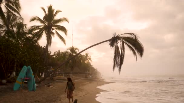 Паломіно Колумбія Січня Місцеві Жителі Гуляють Пляжі Паломіно Прекрасному Заході — стокове відео