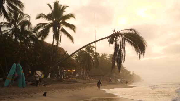 Helyiek Sétálnak Palomino Strandon Gyönyörű Naplementében Kolumbiában Hajlított Pálmafa Part — Stock videók