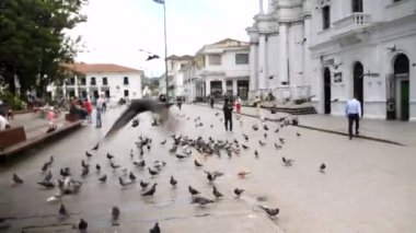 Popayan, Kolombiya - 15 Ocak 24: Torre del Reloj Caldas parkı yakınlarında, Beyaz Popayan kenti. Güvercinler çekimden uzaklaşıyorlar. Saat Kulesi