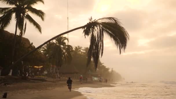 Местные Жители Прогуливаются Пляжу Паломино Красивом Закате Колумбия Согнутая Пальма — стоковое видео