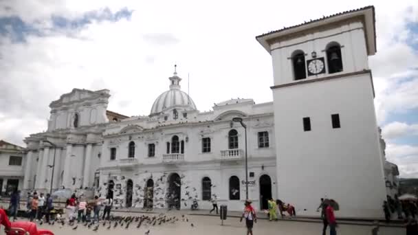 哥伦比亚波帕扬 Popayan Colombia 1月15日 位于波帕扬市卡尔达斯公园附近的Torre Del Reloj 鸽子从枪口飞开了 — 图库视频影像