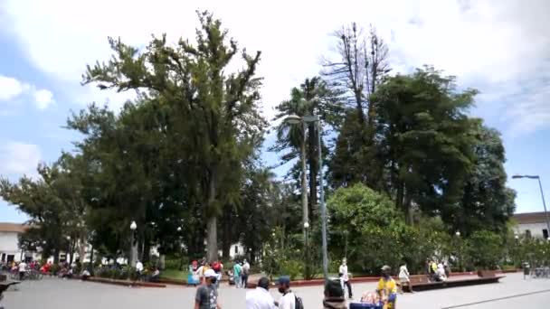 哥伦比亚波帕扬 1月15日 波帕扬白城卡尔达斯公园周围的生活 — 图库视频影像