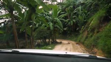 Arazi aracında bir ormanı sürmek. Kolombiya 'da tropik çalılık. Huila 'daki Mirador La Mano del Gigante yolu. Yüksek kaliteli görüntüler.