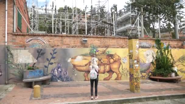 Bogotà Colombia Gennaio Graffiti Candelaria Bogotà Colombia Filmati — Video Stock
