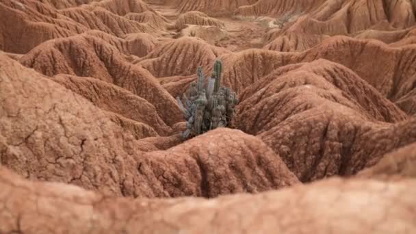Величезний Сорт Посеред Пустелі Татакоа Червоний Глиняний Каньйон Пустеля Татакоа — стокове відео