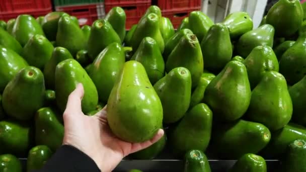 Ogromne Awokado Rynku Owoców Paloquemao Bogocie Kolumbia — Wideo stockowe