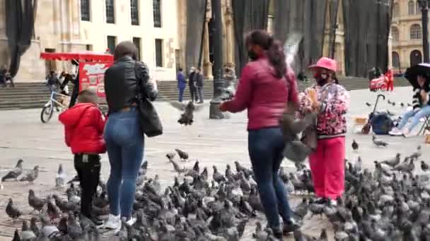 Bogotá Colômbia Janeiro Moradores Locais Alimentam Pombos Plaza Bolívar Filmagem — Vídeo de Stock