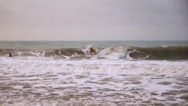 Palomino Colombia Enero 2024 Surfistas Atrapando Las Olas Playa Palomino — Vídeo de stock