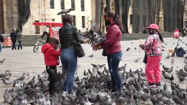 コロンビアのボゴタ 2024年1月26日 地元の人々はボリバル広場で鳩を餌にしています 4K映像について — ストック動画