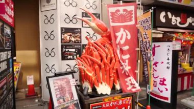 Osaka 'da bir gün boyunca Dotonbori caddesinde yengeç taşımak. Dev Japon restoranları, reklamlar, reklam panoları, neon ışıkları. Yüksek kalite 4k görüntü