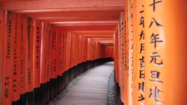 日本の京都にオレンジの鳥居が満ちた伏見稲荷 伏見稲荷大社 伏見稲荷 の千二鳥居の映像を公開しました 高品質の4K映像 — ストック動画