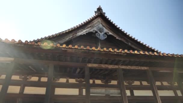 Pagoda Lima Lantai Jepang Dengan Pohon Palem Menghadap Langit Biru — Stok Video