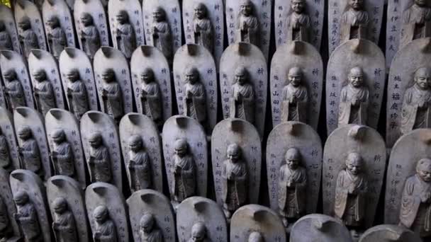 Πολλά Βραχώδη Αγάλματα Της Βούδας Και Bodhisattva Στη Φύση Miyajima — Αρχείο Βίντεο