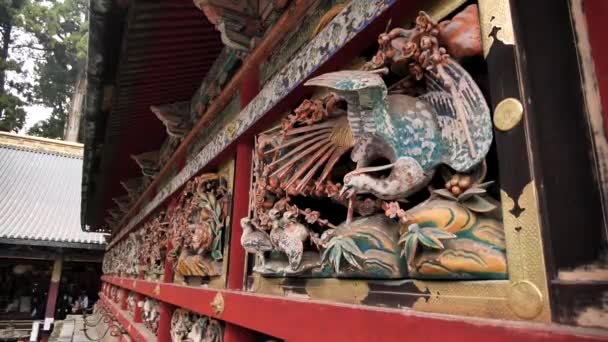 Rilievo Legno Intagliato Edifici Storici Santuario Toshogu Nella Città Nikko — Video Stock