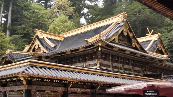 東郷神社について 日本の日光の美しい黄金の屋根を持つ日本の伝統的な仏教寺院や神社 日本の寺院の伝統建築 高品質の4K映像 — ストック動画