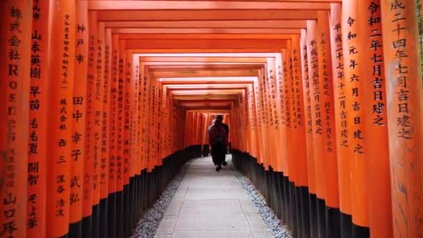 Fushimi Inari Lleno Puertas Naranjas Torii Kyoto Japón Santuario Fushimi — Vídeo de stock