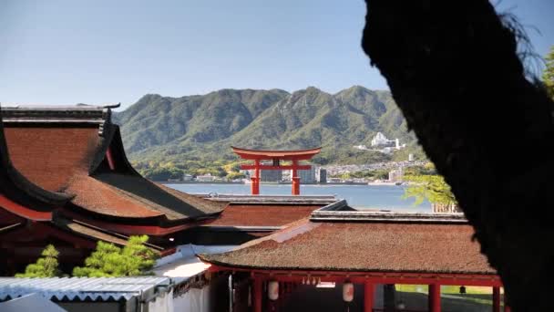 Hiroşima Daki Miyajima Adasındaki Japon Tapınaklarının Çatıları Yüzen Torii Kapıları — Stok video