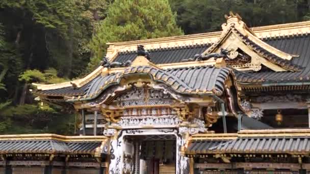 Храм Тошогу Традиційний Японський Буддистський Храм Святиня Красивим Золотим Дахом — стокове відео