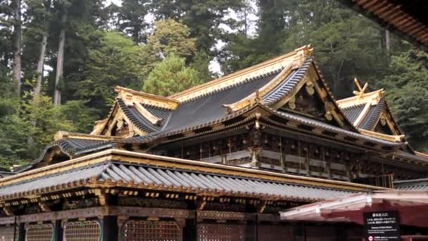 Santuario Toshogu Templo Budista Tradicional Japonés Santuario Sintoísta Con Hermosa — Vídeos de Stock